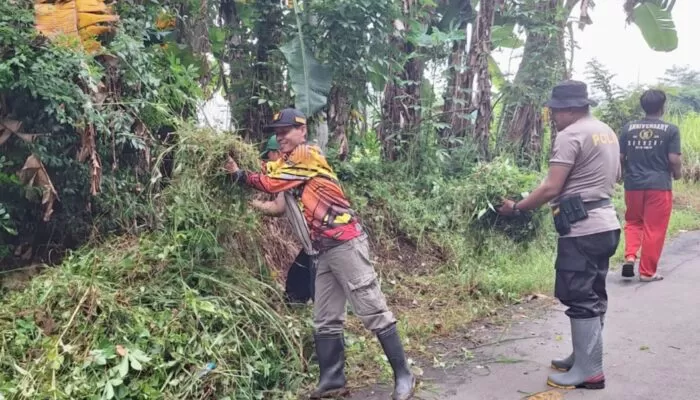 Sambut Ramadhan, Warga Jatisawit Bumiayu Bersihkan Lingkungan dan Pemakaman