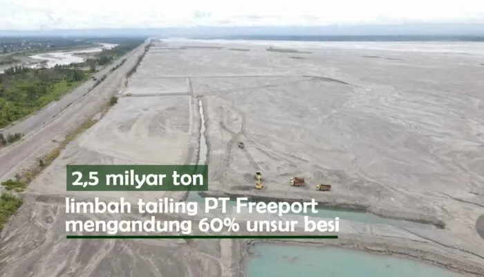 Aktifis Lingkungan Soroti Limbah PT Freeport, Deposit Pasir Tailing Diperkirakan Sebanyak 2,6 Milyar Ton