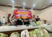 Polres Empat Lawang Ungkap Ladang Ganja 3 Hektar, Sita 220 Kg Ganja dan Amankan Satu Tersangka