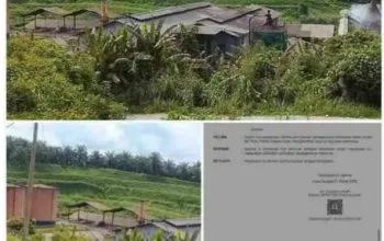 Pemerintah Diminta Tutup Permanen Perusahaan Ilegal di Aceh Singkil