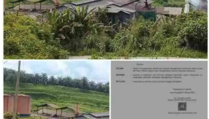 Pemerintah Diminta Tutup Permanen Perusahaan Ilegal di Aceh Singkil