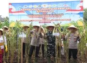 Panen Raya Jagung Serentak di Buleleng, Polri Tegaskan Petani Tetap Pelaku Utama Ketahanan Pangan