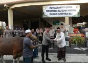 Polda Bali Serahkan 96 Ekor Hewan Kurban untuk Idul Adha 1447 Hijriah