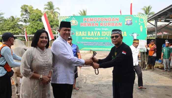 Polda Kalteng dan Jajaran Sembelih 246 Hewan Kurban pada Idul Adha 1447 H