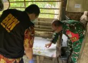 Satgas Yonif 643/Wns Bersama BNN, Dinsos dan Polres Keerom Gelar Penyuluhan Bahaya Narkoba di Perbatasan Papua