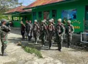 Patroli Gabungan Satgas Yonif 643/WNS Ungkap Ladang Ganja di Perbatasan Papua, Puluhan Batang Diamankan