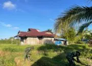 Bantu Olah Lahan, Satgas Yonif 123/Rajawali Perkuat Ketahanan Pangan Papua Selatan
