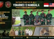 Edukasi Hukum di Perbatasan, Satgas Yonarmed 13/Nanggala Terima Penyerahan Trenggiling Dilindungi