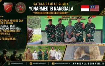 Edukasi Hukum di Perbatasan, Satgas Yonarmed 13/Nanggala Terima Penyerahan Trenggiling Dilindungi