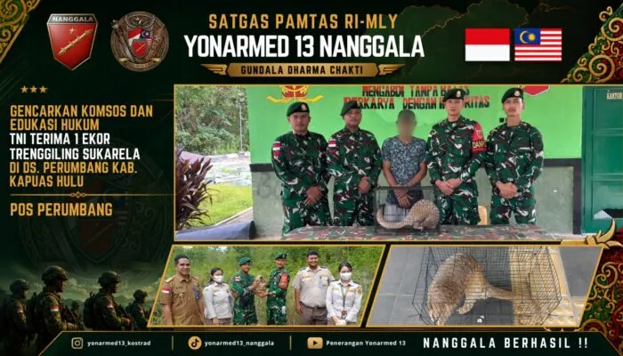 Edukasi Hukum di Perbatasan, Satgas Yonarmed 13/Nanggala Terima Penyerahan Trenggiling Dilindungi